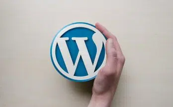 Agence web ou freelance pour votre site WordPress ?